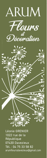 L’attribut alt de cette image est vide, son nom de fichier est image-72.png.